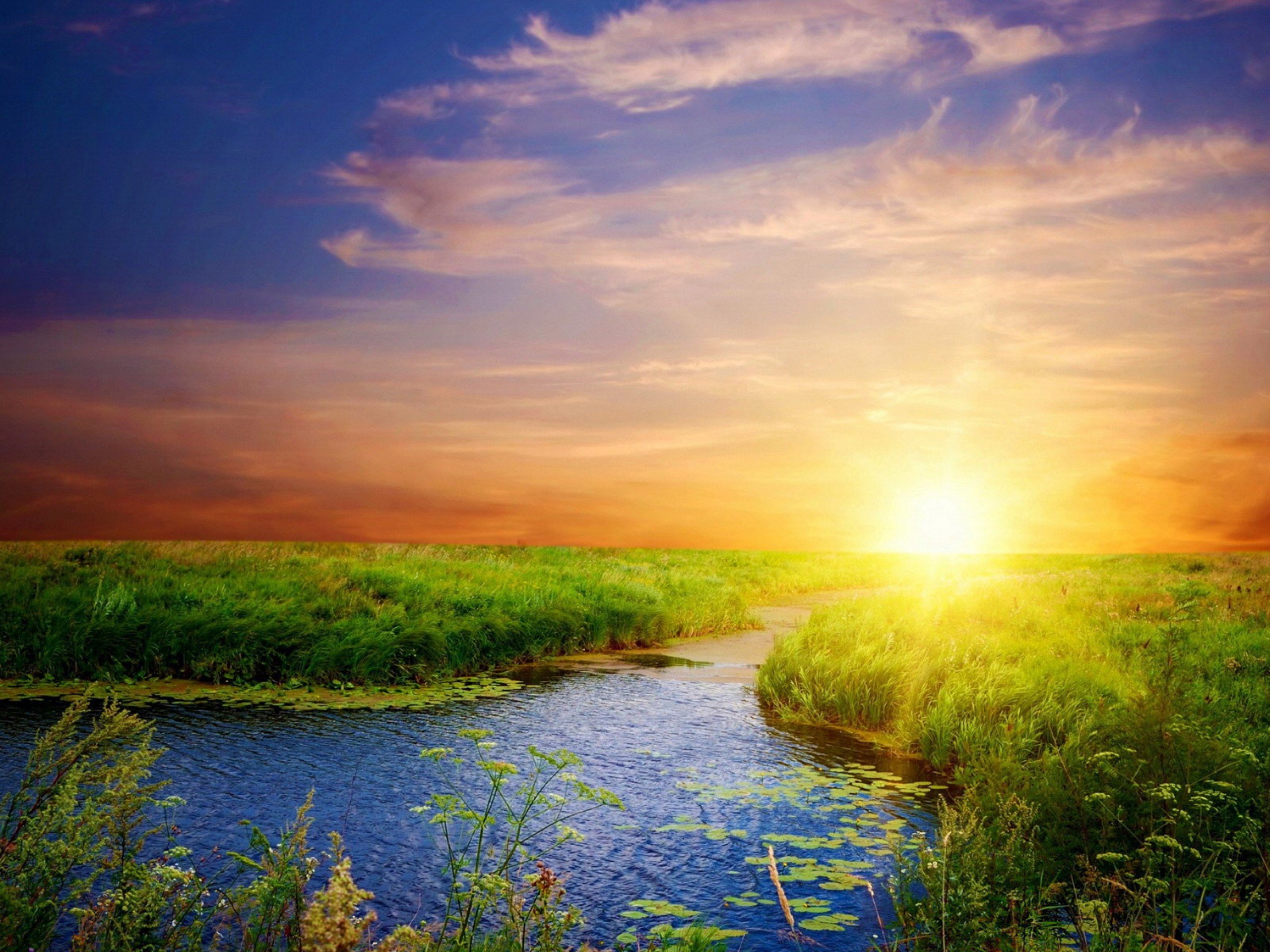 Core Concepts For Vibrantly Thriving The Way Of Vibrantly